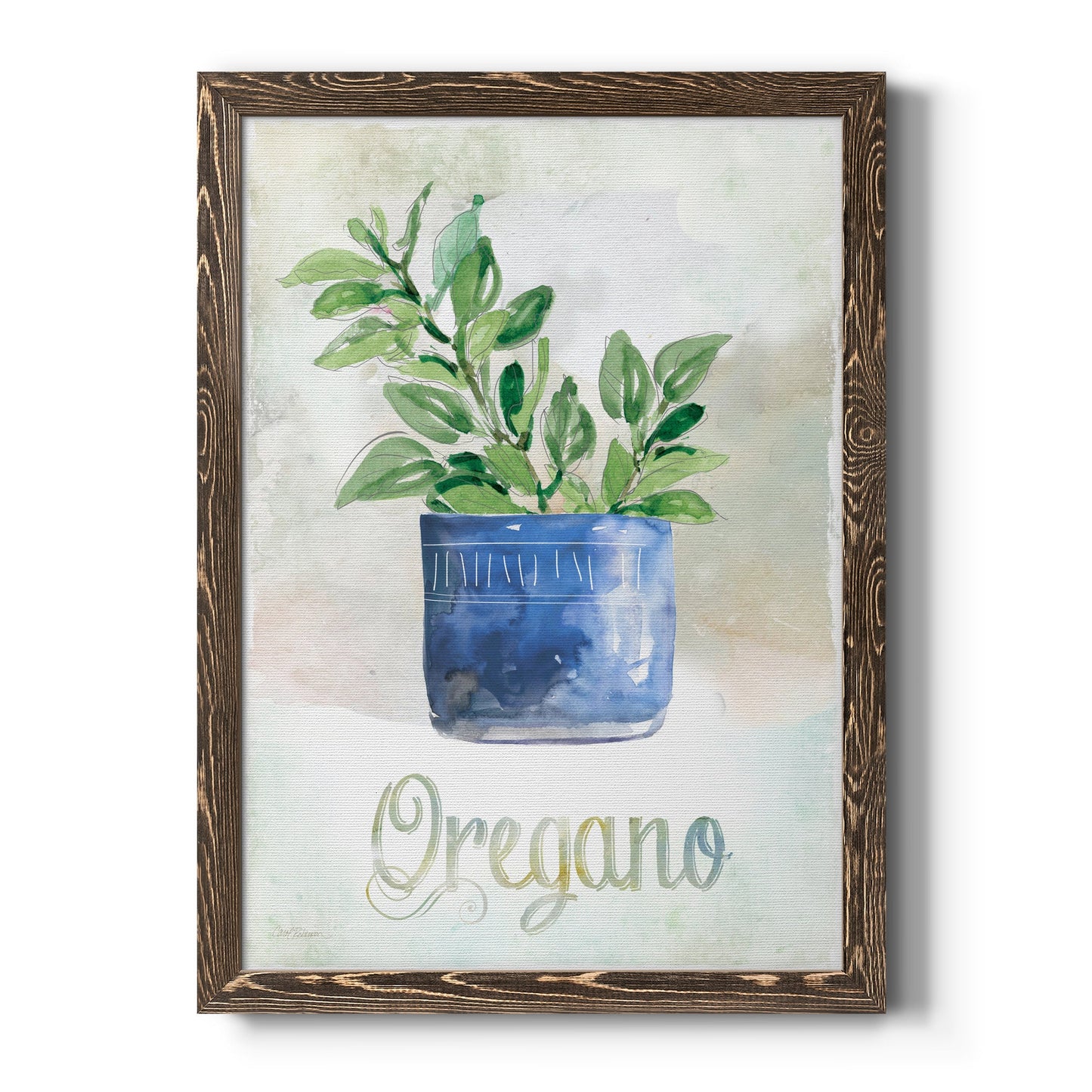 Potted Oregano - Barnwood Framed Canvas Print