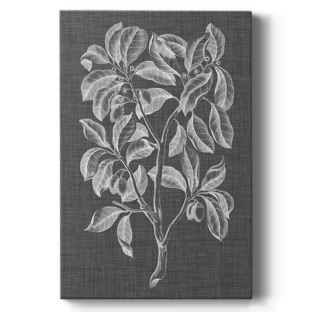 Graphic Foliage I Premium Gallery Wrapped Canvas - Ready to Hang