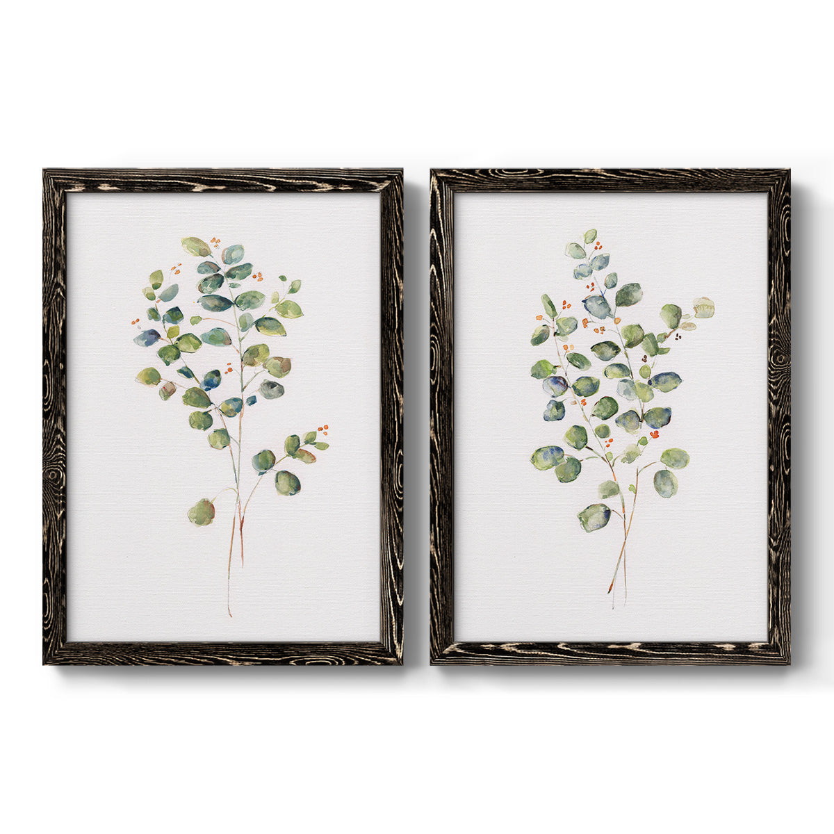 Eucalyptus I   - Premium Framed Canvas 2 Piece Set - Ready to Hang