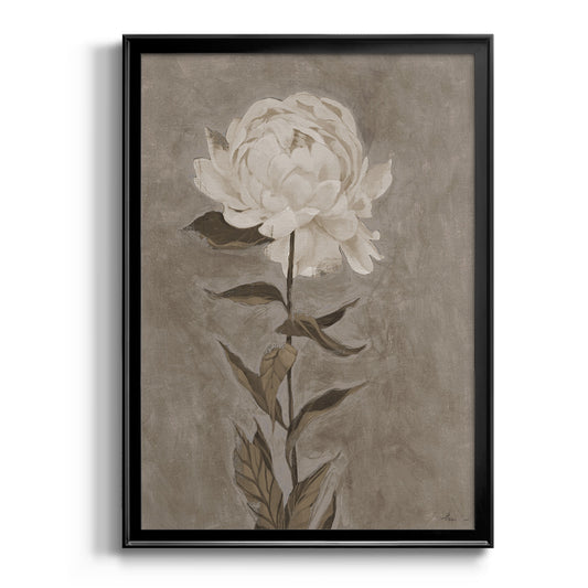 Pretty As A Peony I - Modern Framed Canvas Print