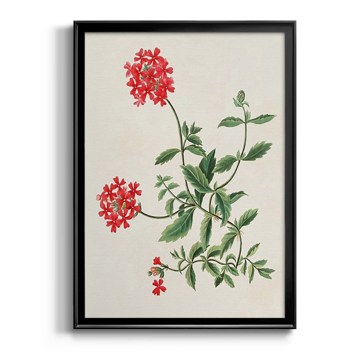 Flowers of the Seasons XI - Modern Framed Canvas Print