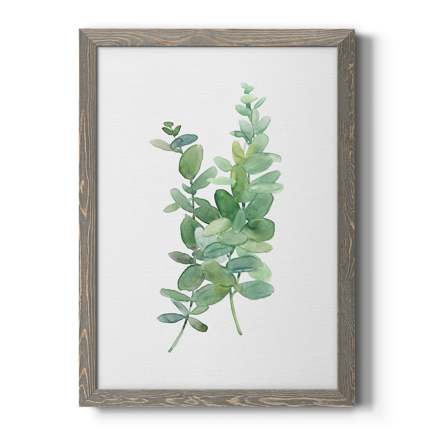 Eucalyptus I - Premium Canvas Framed in Barnwood - Ready to Hang