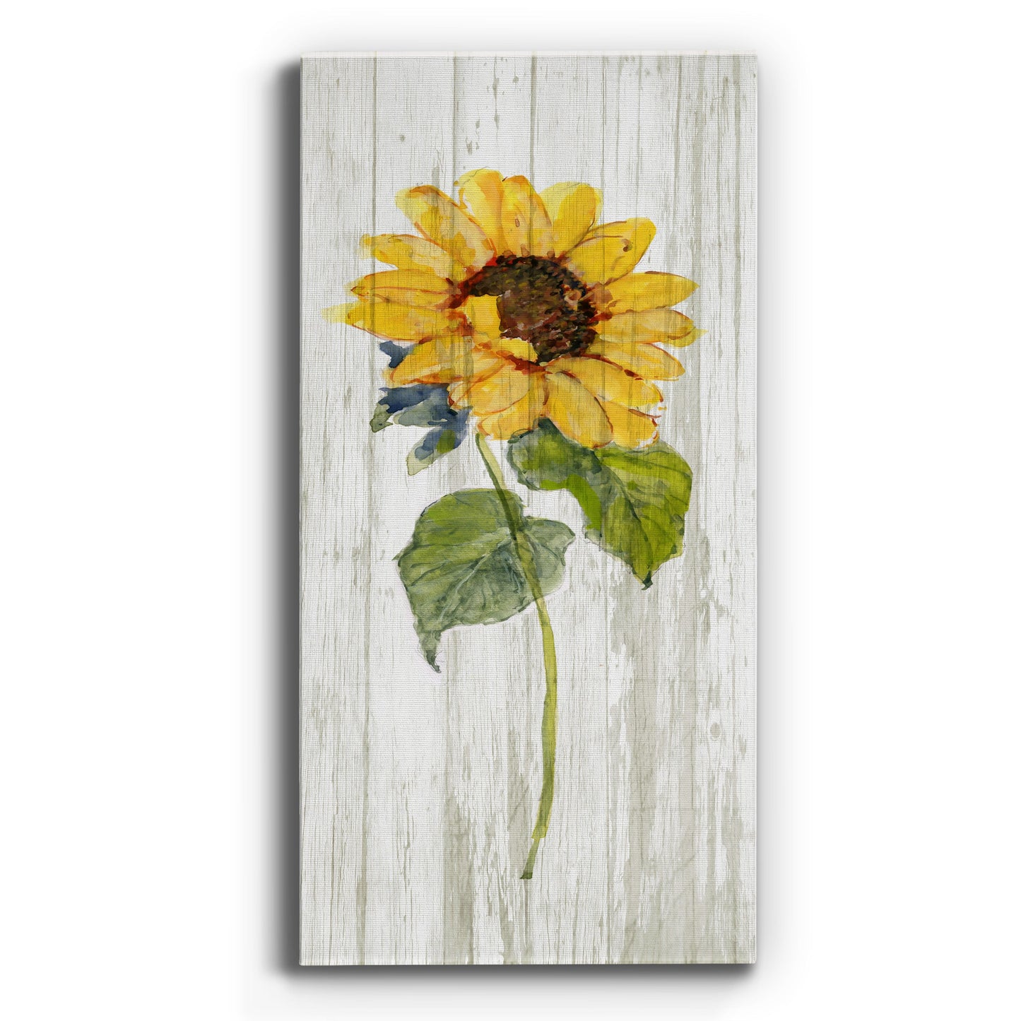 Sunflower in Autumn I - Premium Gallery Wrapped Canvas - Ready to Hang