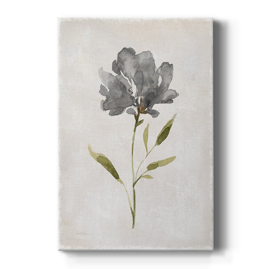 Botanical Beauty II - Canvas Art Print