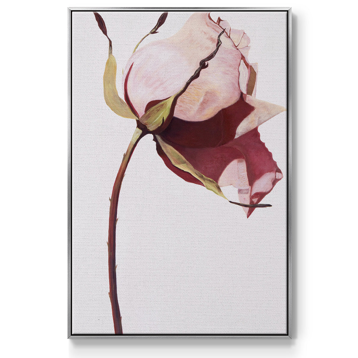 Love Is A Rose I - Framed Premium Gallery Wrapped Canvas L Frame - Ready to Hang