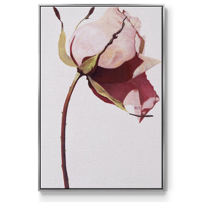 Love Is A Rose I - Floater Framed Canvas Print