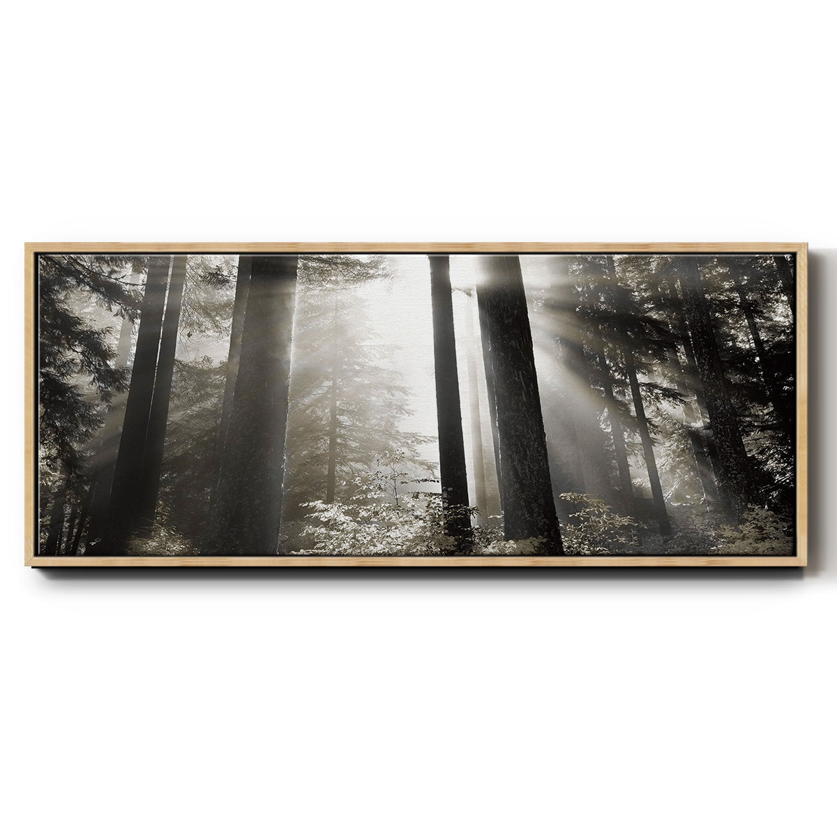 Morning Light - Floater Framed Canvas Print