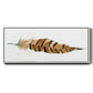 Tail Feather I - Floater Framed Canvas Print