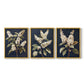 Floral Study Series LII - Restickable Framed Art Set