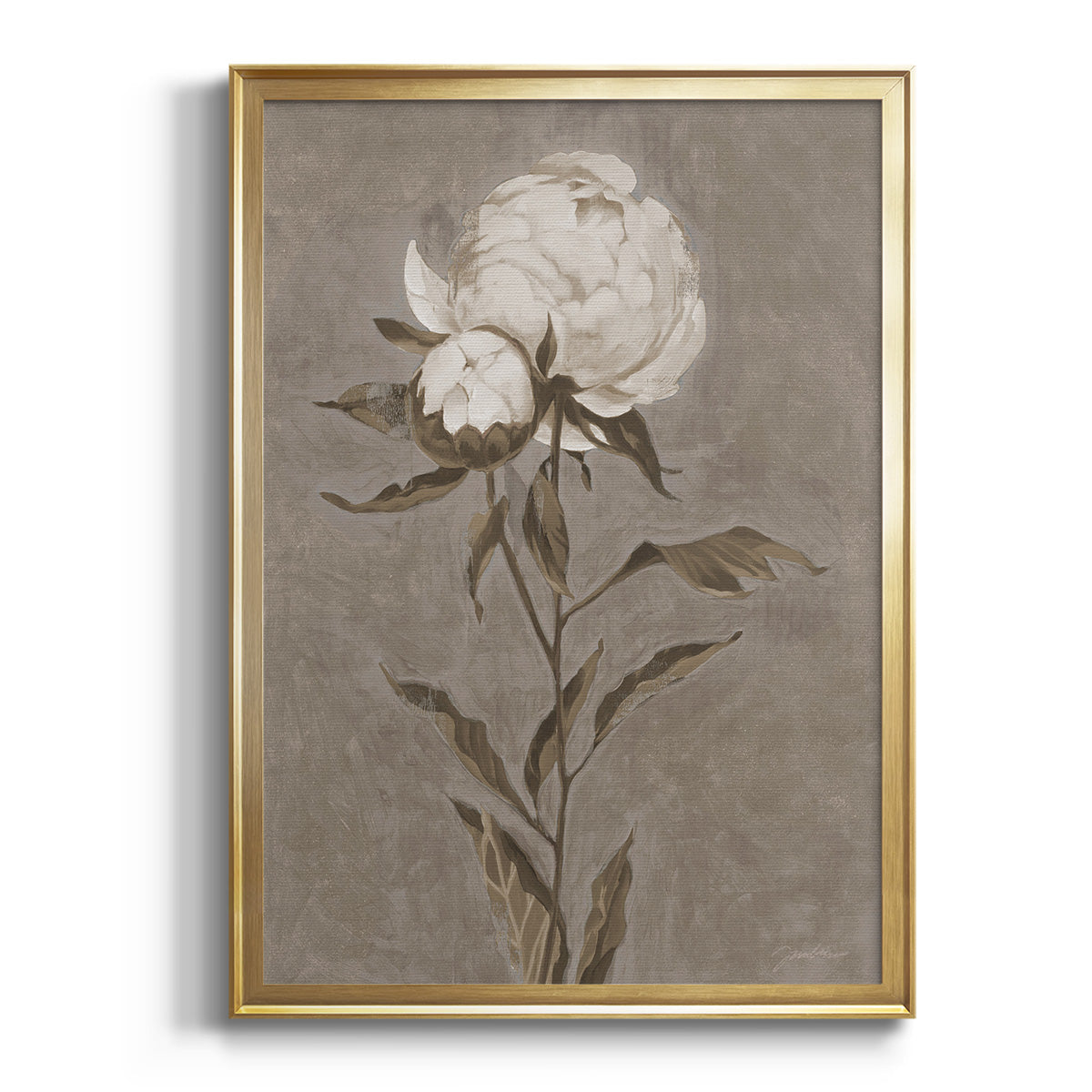 Pretty As A Peony II - Modern Framed Canvas Print