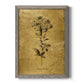 Gold Sketch Botanical II - Barnwood Framed Canvas Print