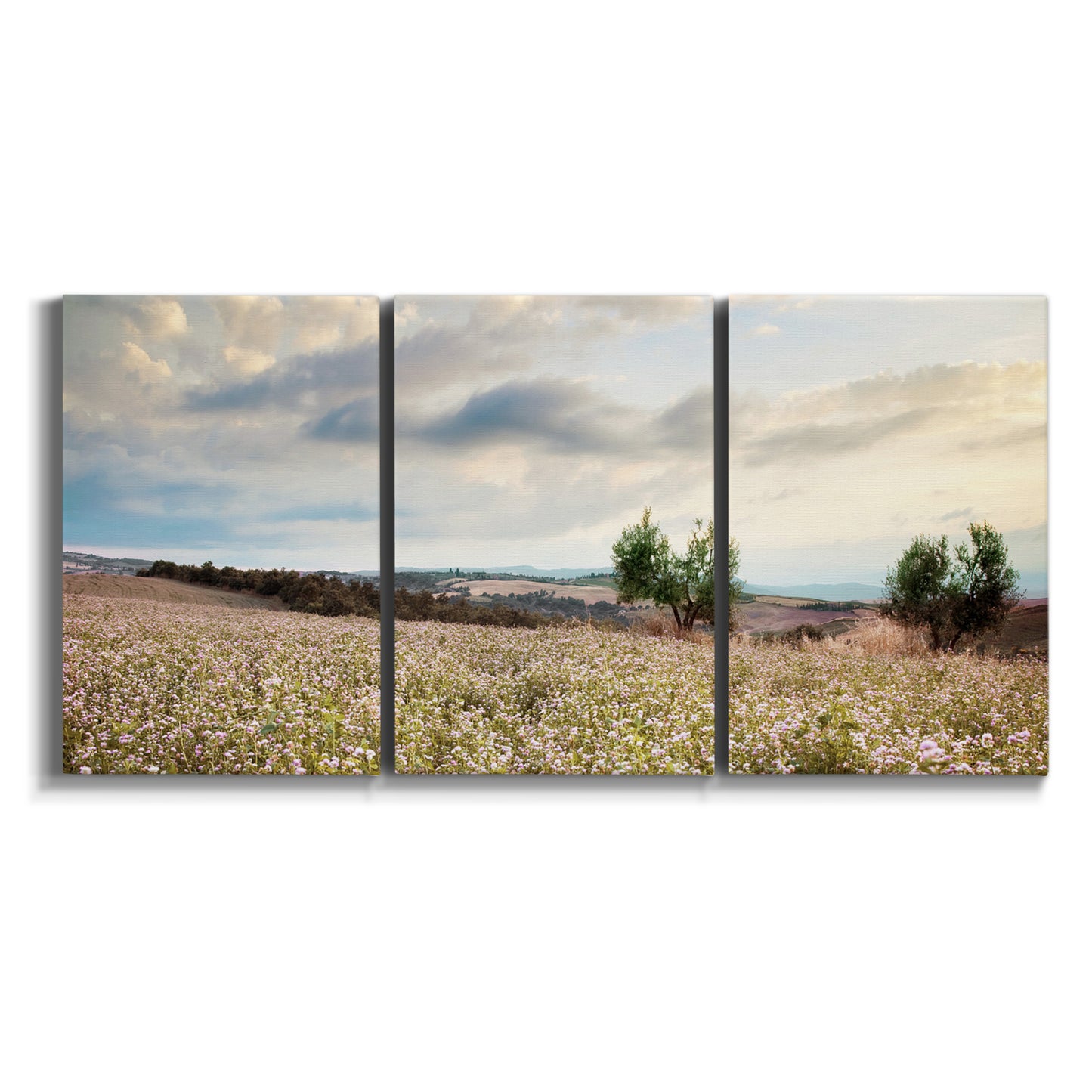 Three-panel canvas wall art featuring wildflowers across tuscan landscape on white background.