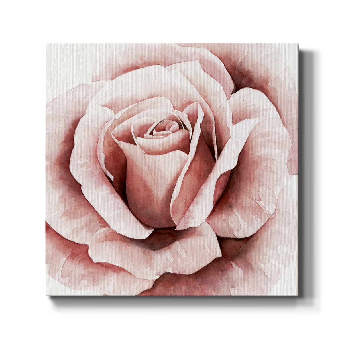 Pink Rose II - Canvas Art Print