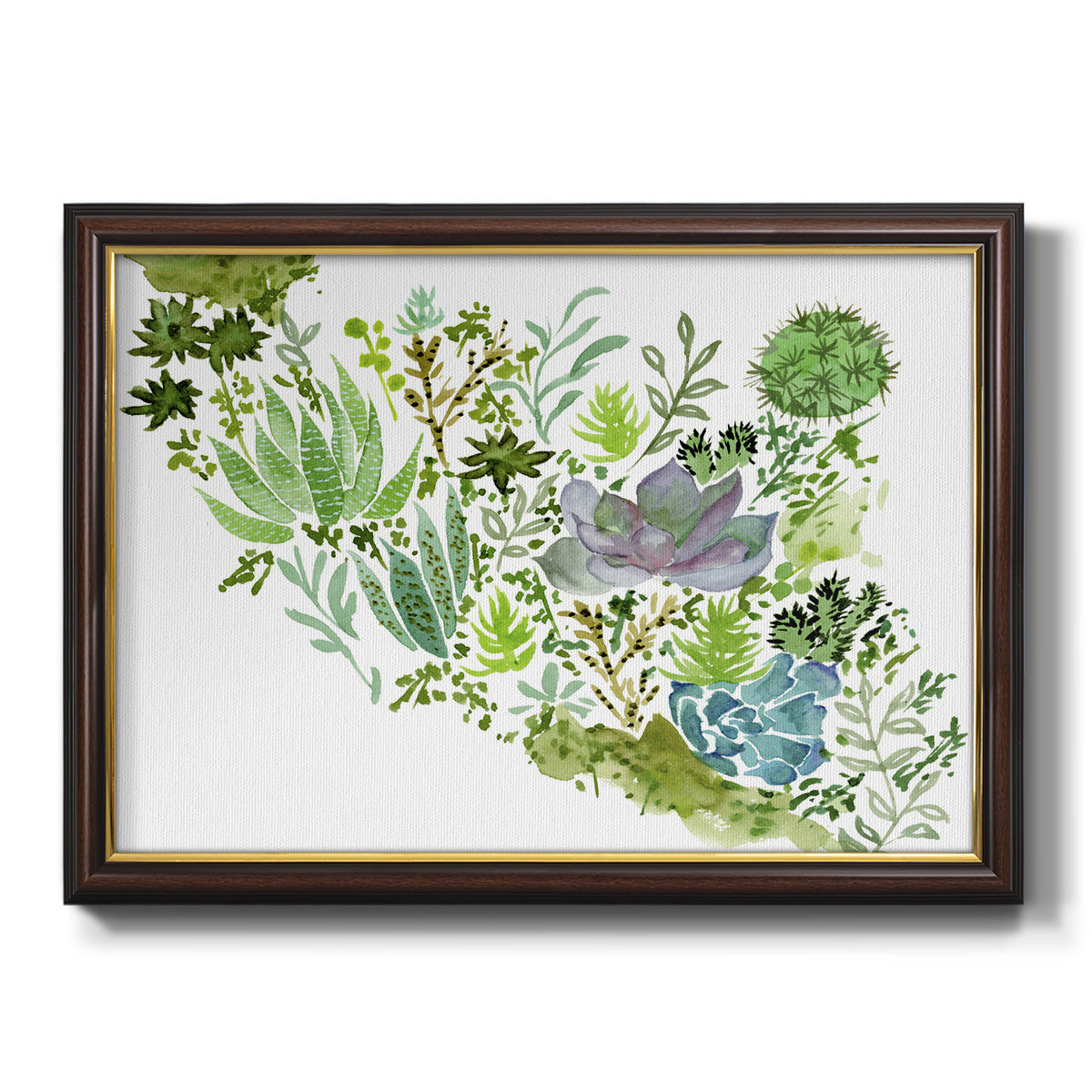 Succulent Field II - Ornate Framed Canvas Print