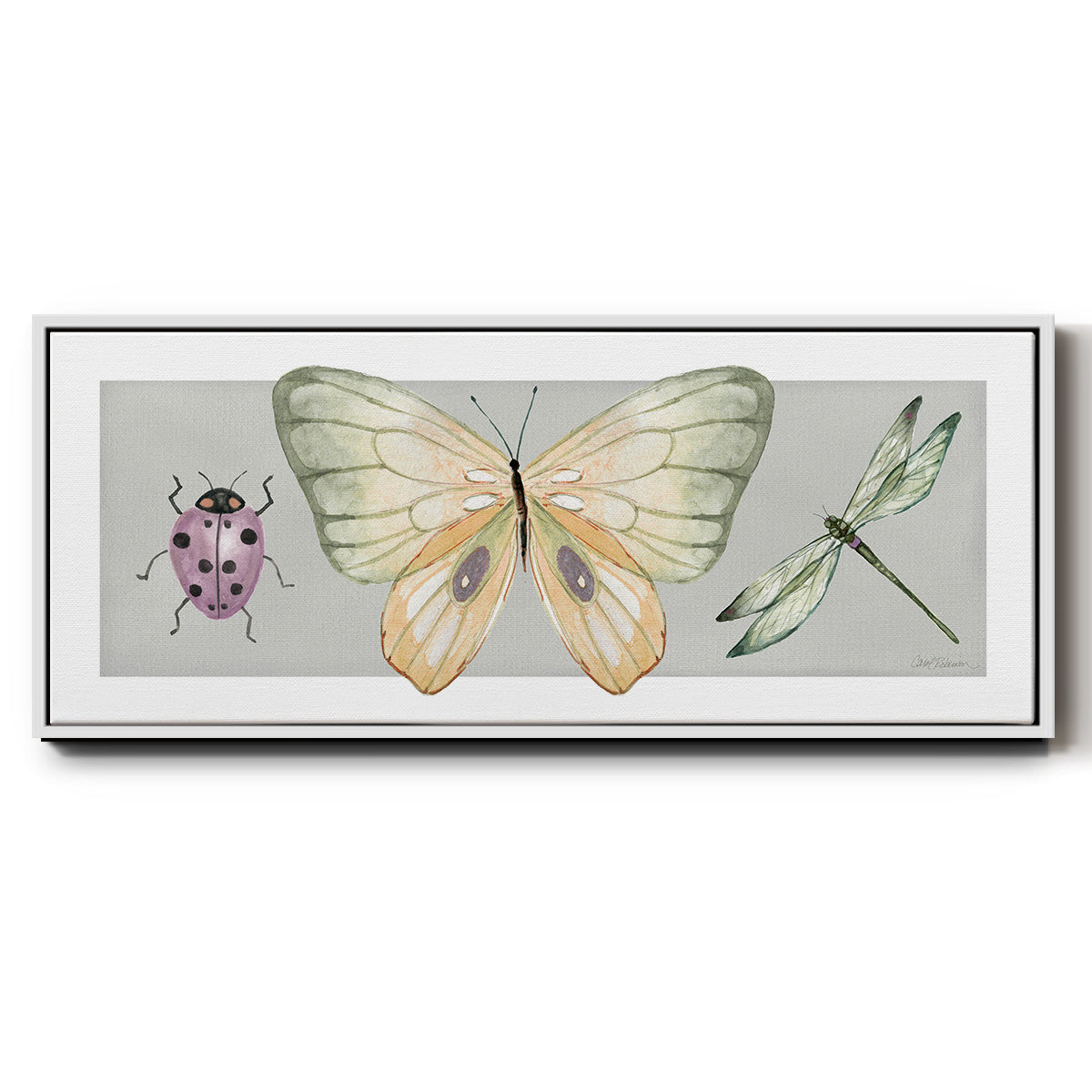 Pretty Insects I - Floater Framed Canvas Print
