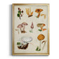 Mushroom Species VI - Modern Framed Canvas Print