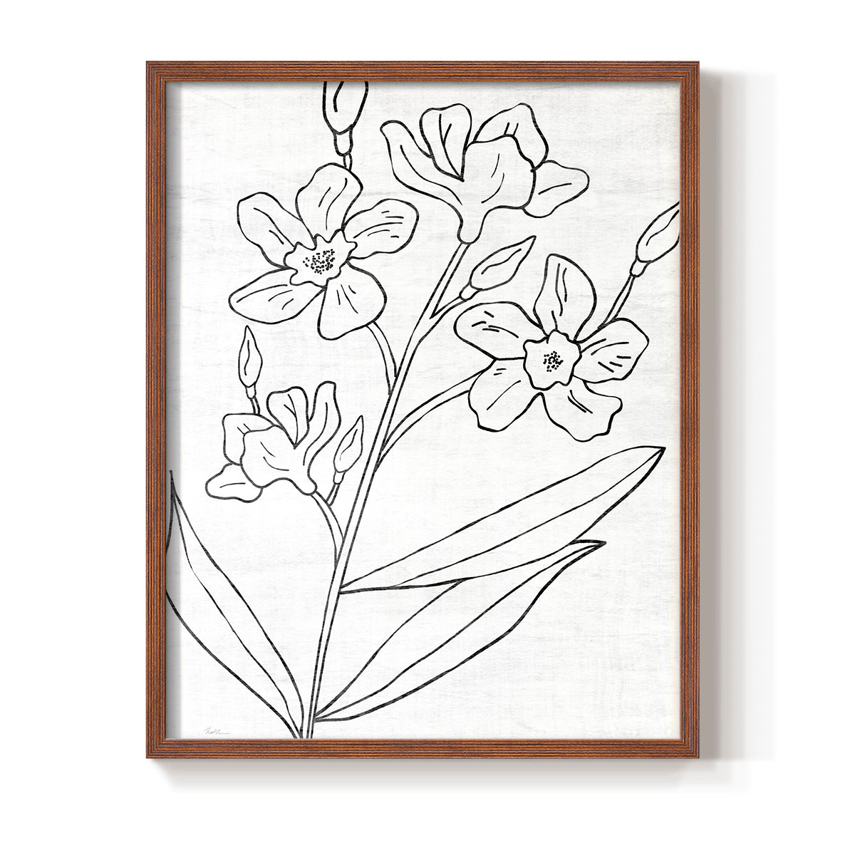 Botanical Sketch I - Restickable Framed Art Print