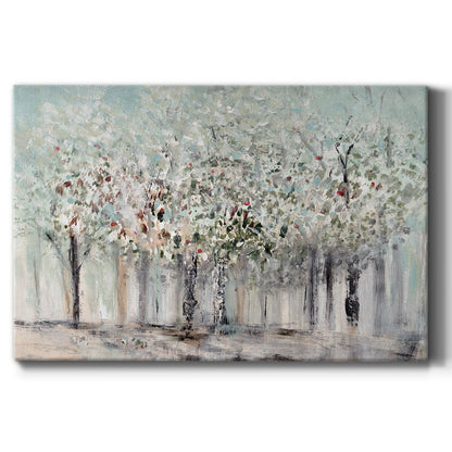 Morning's Soft Light - Canvas Art Print
