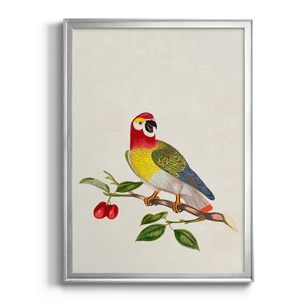 Bird in Habitat VI - Modern Framed Canvas Print