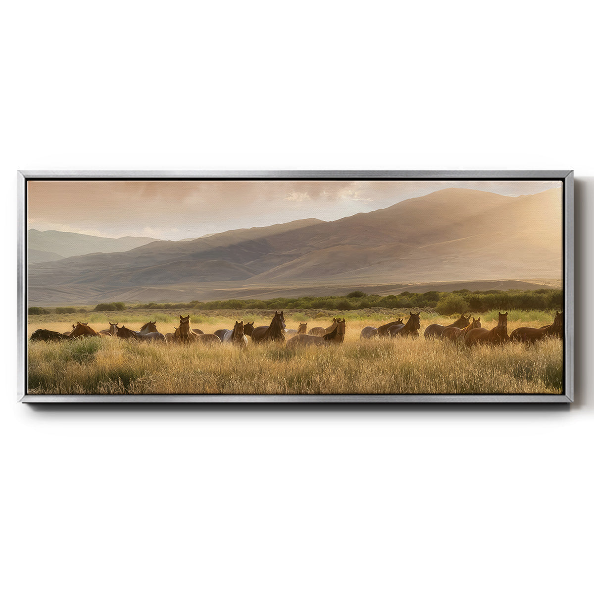 Wild and Free I - Floater Framed Canvas Print