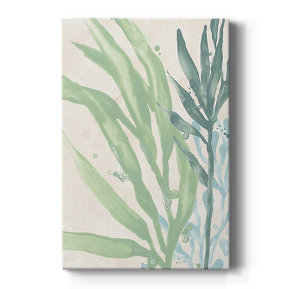 Swaying Seagrass IV - Canvas Art Print