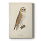 French Owls VI Premium Gallery Wrapped Canvas - Ready to Hang