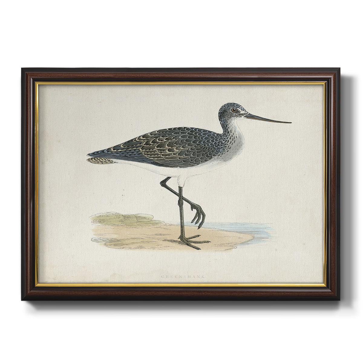 Morris Sandpipers III Premium Framed Canvas- Ready to Hang