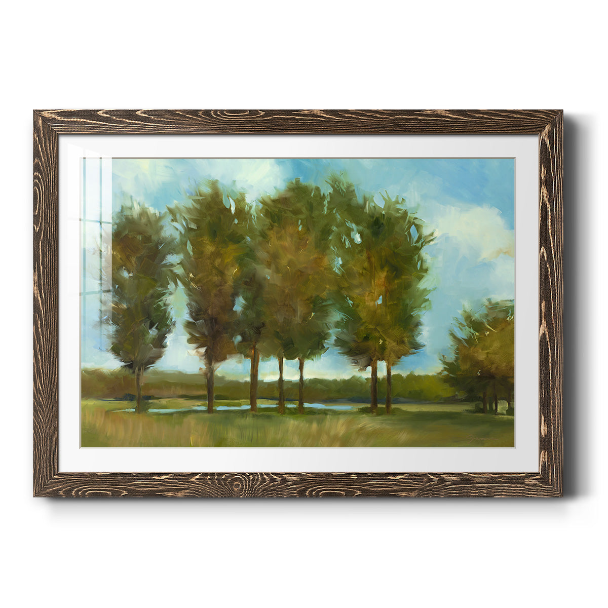 Tall Trees - Barnwood Framed Art Print