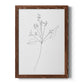 Botanical Gesture V - Barnwood Framed Canvas Print