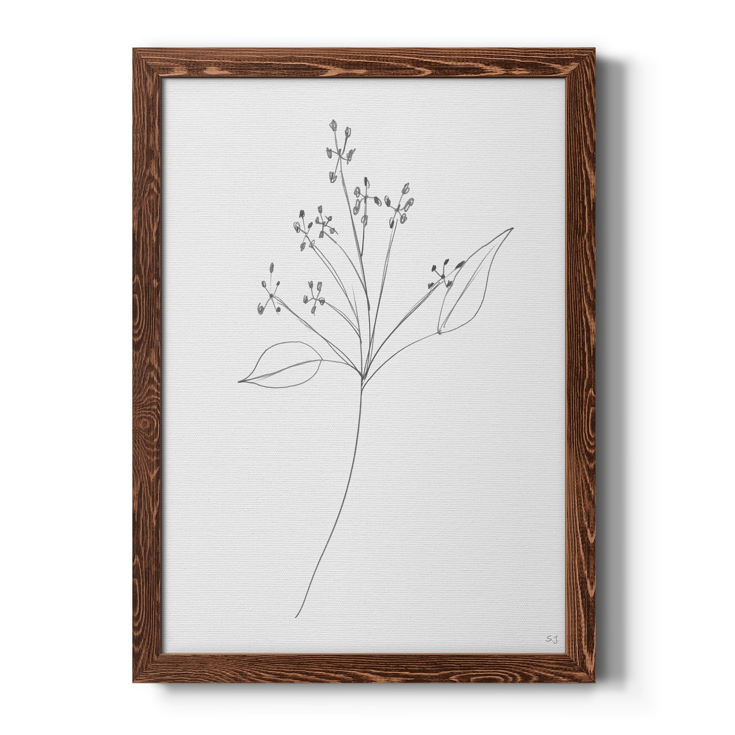 Botanical Gesture V - Barnwood Framed Canvas Print