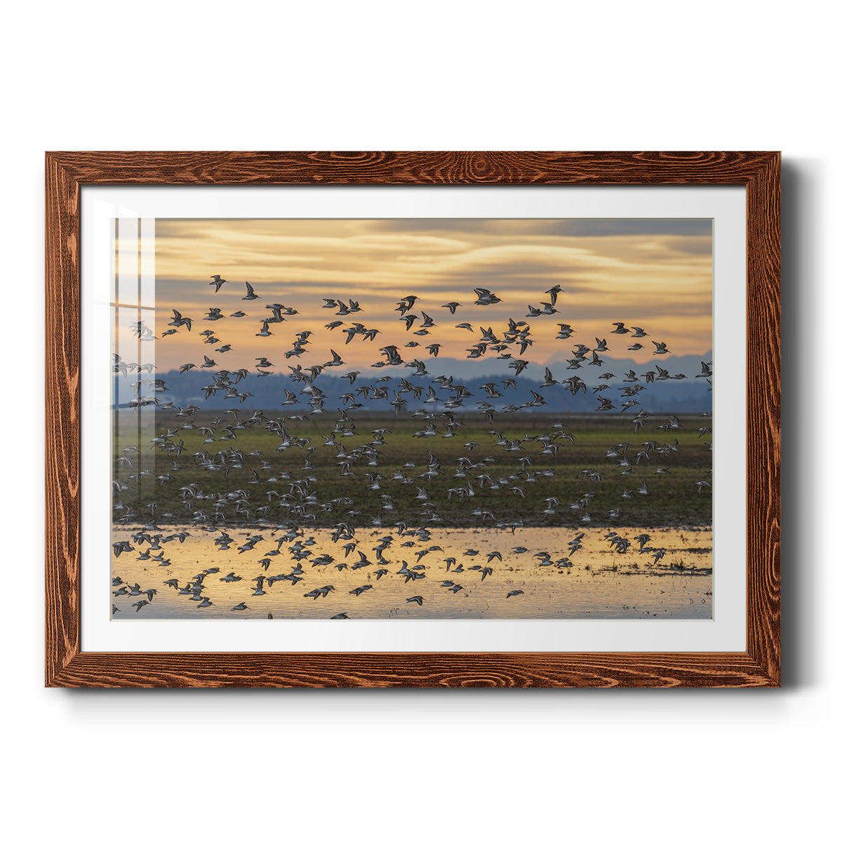 Sunset Flight - Barnwood Framed Art Print