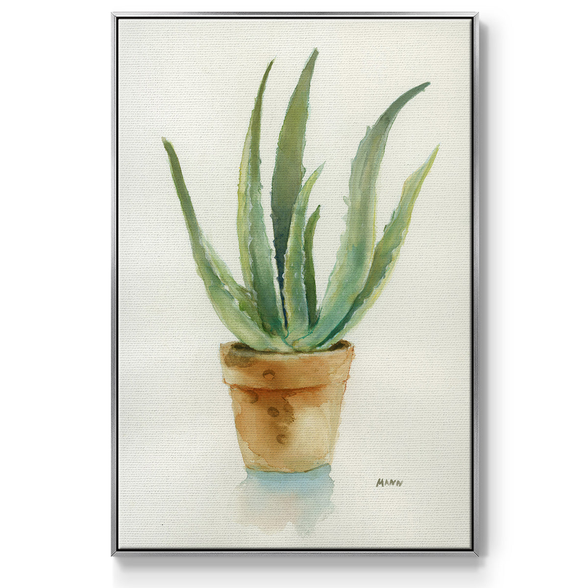 Succulent IV - Framed Premium Gallery Wrapped Canvas L Frame - Ready to Hang