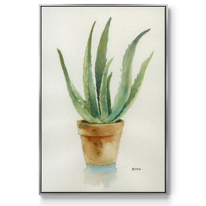 Succulent IV - Floater Framed Canvas Print