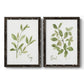 Herb Sage - Premium Framed Canvas 2 Piece Set - Ready to Hang