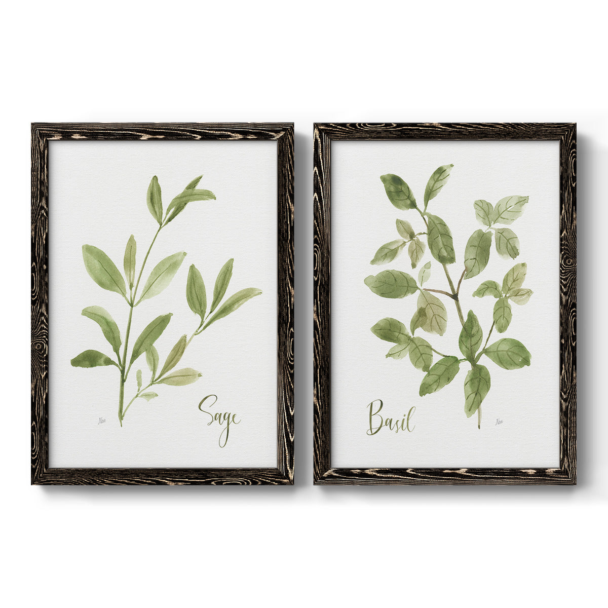 Herb Sage - Premium Framed Canvas 2 Piece Set - Ready to Hang