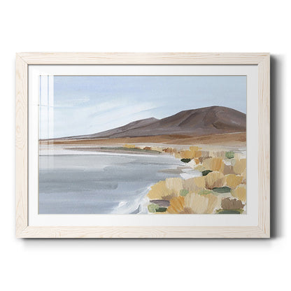 Desert Oasis Study I - Barnwood Framed Art Print