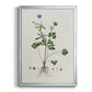 Buttercup Study - Modern Framed Canvas Print