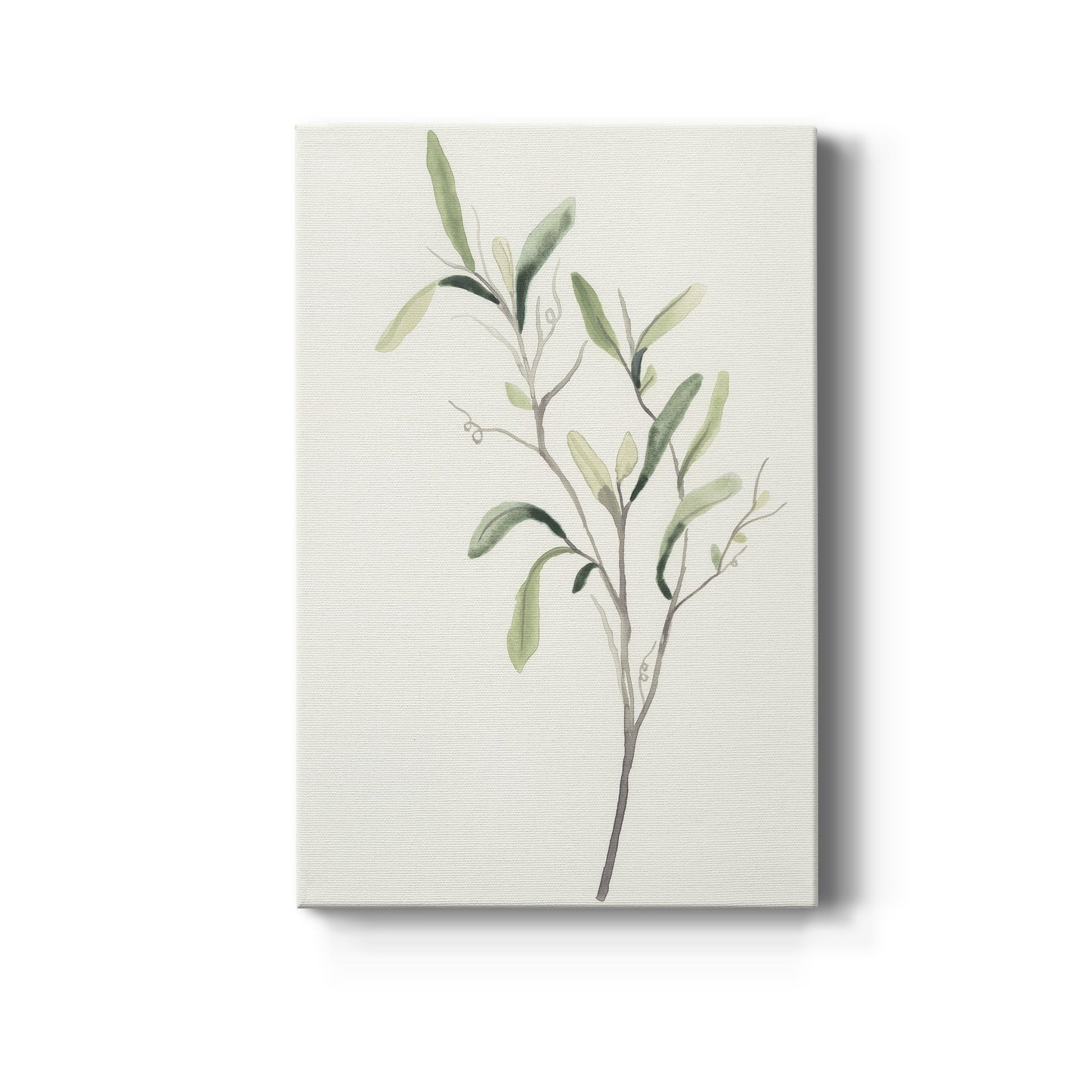 Spindle Sprig III Premium Gallery Wrapped Canvas - Ready to Hang