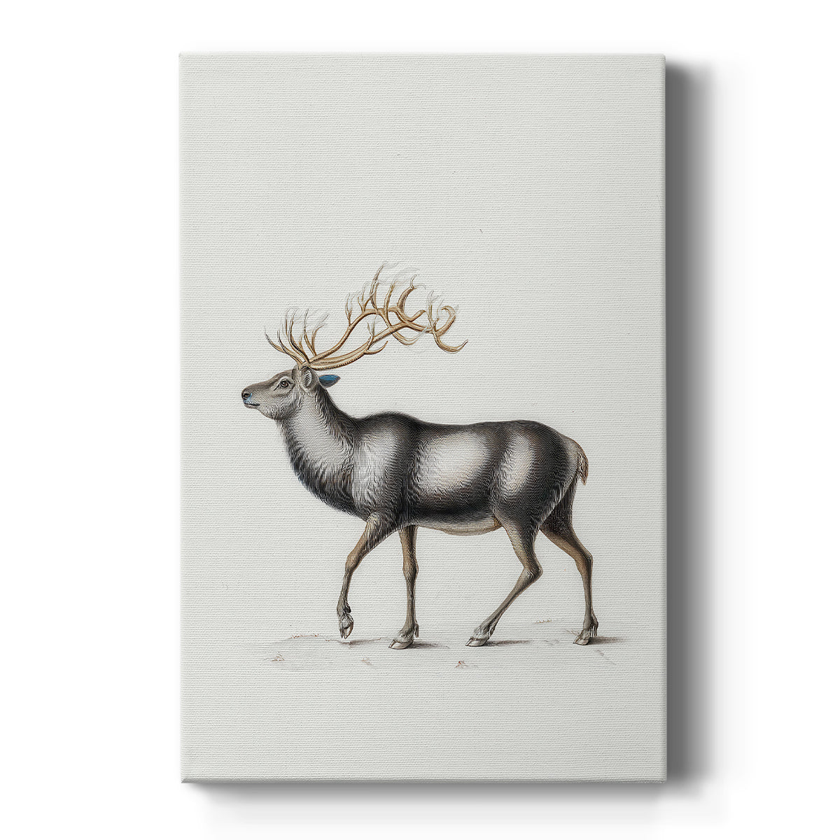 Eve of Frostlit Nativity - Canvas Art Print