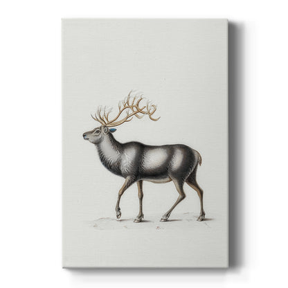 Eve of Frostlit Nativity - Canvas Art Print