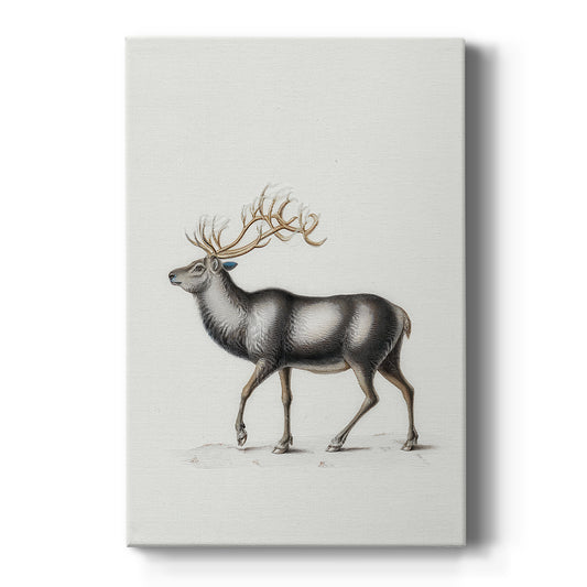 Eve of Frostlit Nativity - Canvas Art Print