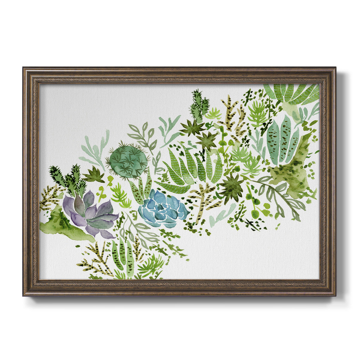 Succulent Field I Premium Framed Canvas- Ready to Hang