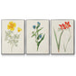 Flowers of the Seasons IV - Framed Premium Gallery Wrapped Canvas L Frame 3 Piece Set - Ready to Hang