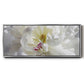 Breathless V - Floater Framed Canvas Print