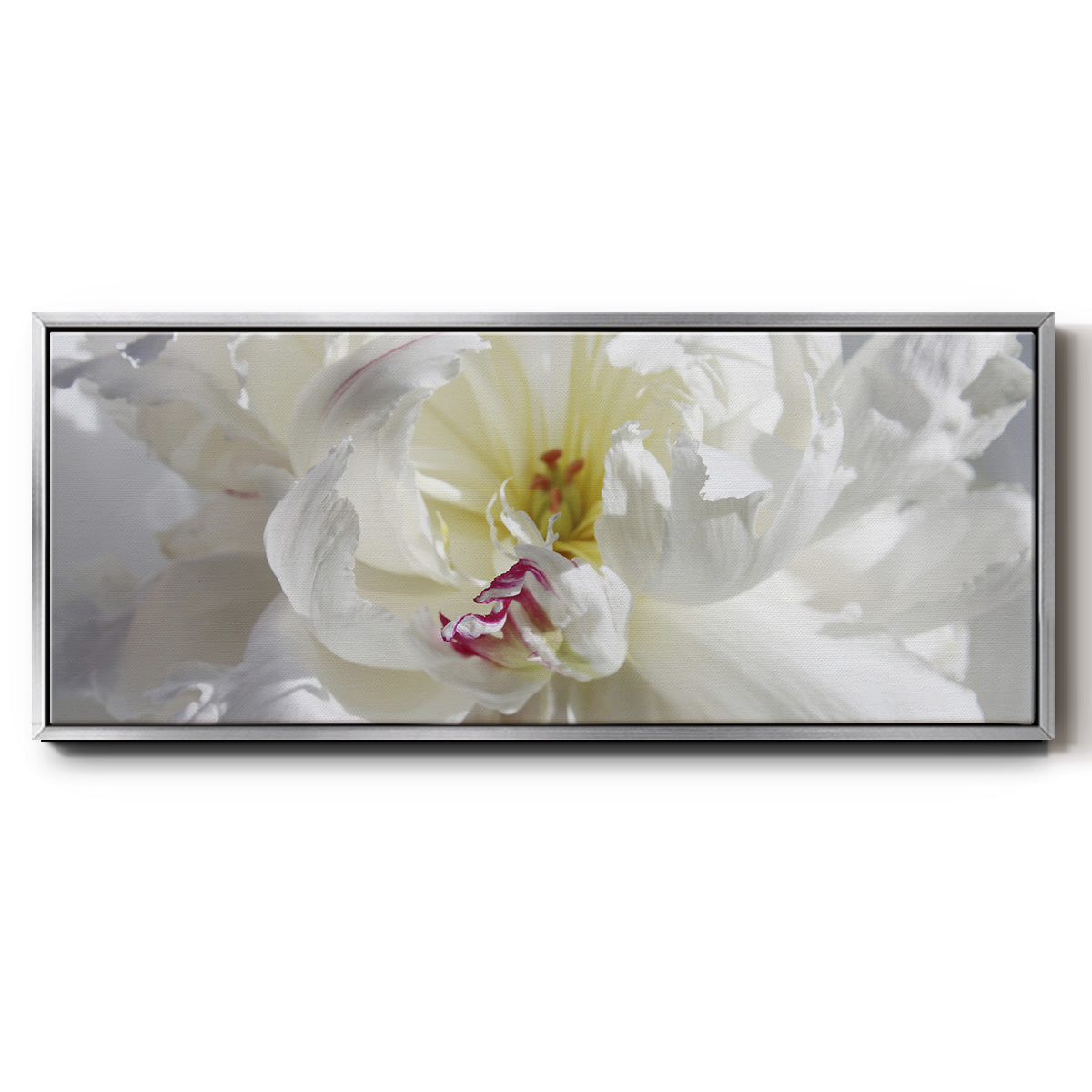 Breathless V - Floater Framed Canvas Print