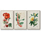 Turpin Tropical Botanicals VI - Framed Premium Gallery Wrapped Canvas L Frame 3 Piece Set - Ready to Hang