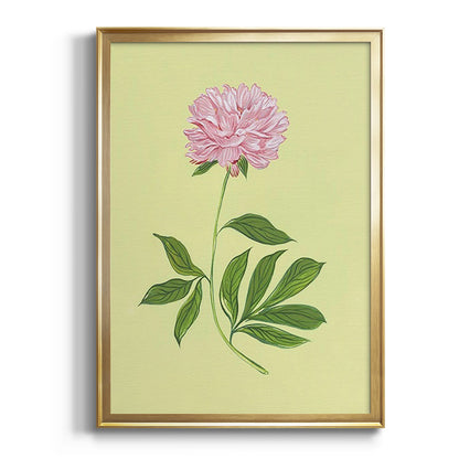 Peonies in Yellow I - Modern Framed Canvas Print