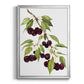 Watercolor Cherries - Modern Framed Canvas Print