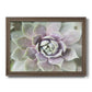 Succulent Glow II - Ornate Framed Canvas Print