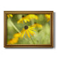 Contemporary black-eyed Susan flower photography printed on canvas in an ornate traditional gold frame.